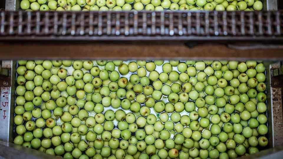 Food industry application