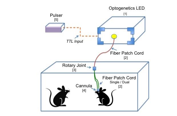 Optogenetics Toolbox