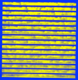 LBIC - 이미지 4